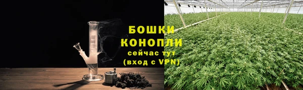 экстази Ельня