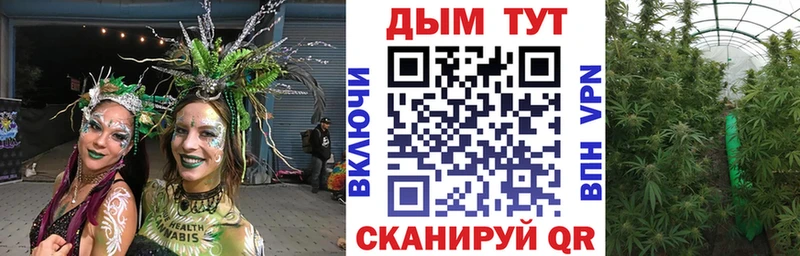 Каннабис LSD WEED  продажа наркотиков  Старица 